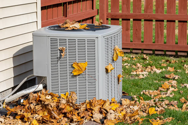 Best HVAC Maintenance Near Me  in Fannett, TX
